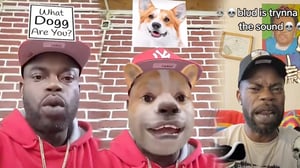 This is the Avatar Image for the 🇯🇲 Which Bomboclaat Dog I Am 🇯🇲 AI Voice and Text to Speech Generator